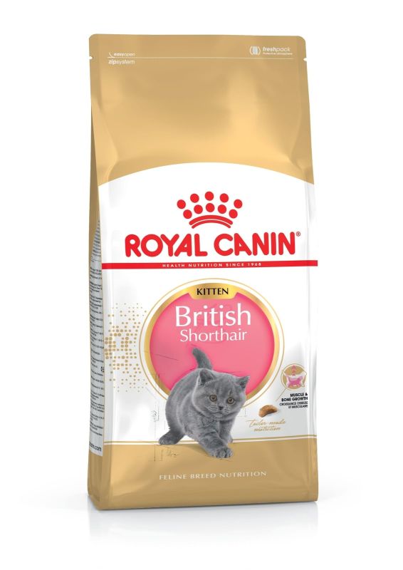 Royal Canin British Shorthair Kitten сухой корм для котят породы британская короткошерстная Royal Canin British Shorthair Kitten сухой корм для котят породы британская короткошерстная